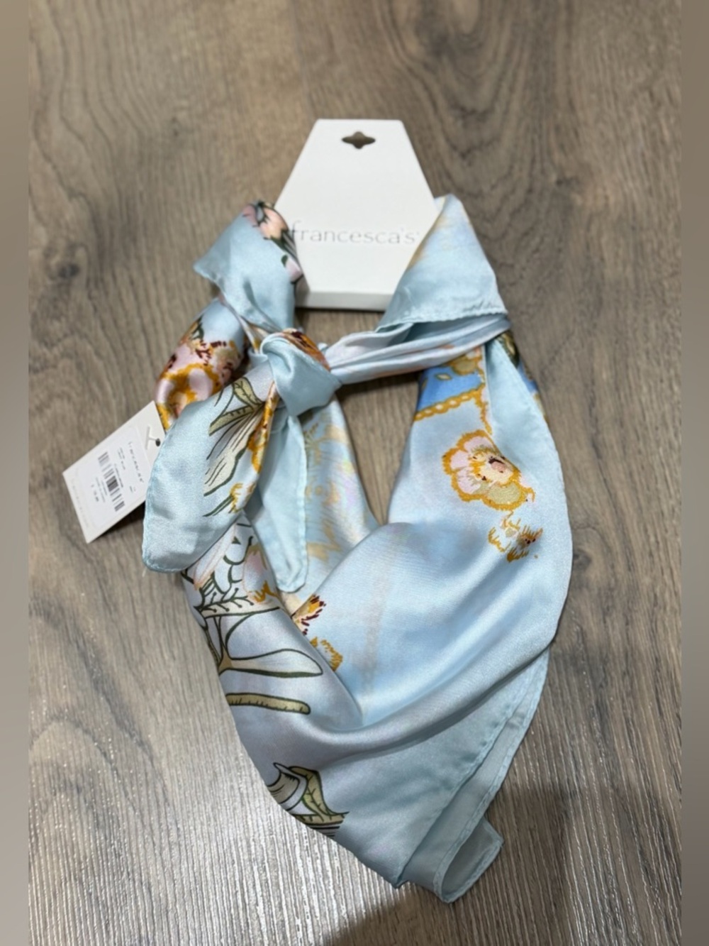 Francesca's Collections Sky Blue Floral Satin Scarf